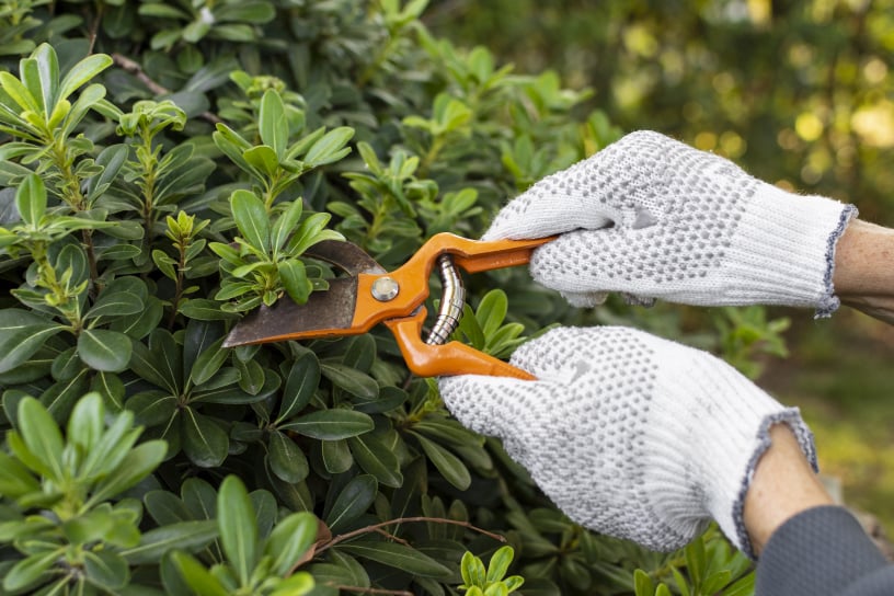 Heswall Garden Care